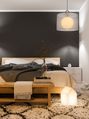 Arosia 1 Light Pendant in Chrome Finish