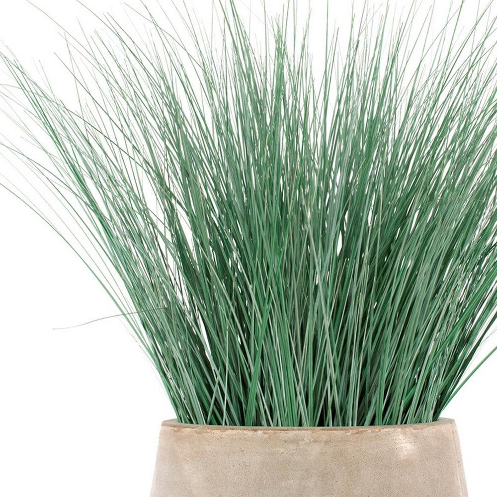 Bear Grass in Urbano Bell Fiber Clay Planter, LARG