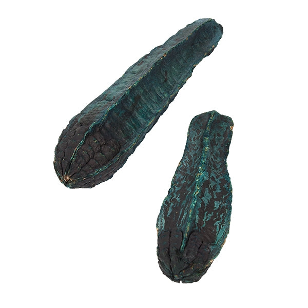 Mahogany Pod, Turquoise