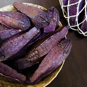 Mahogany Pod, Amethyst