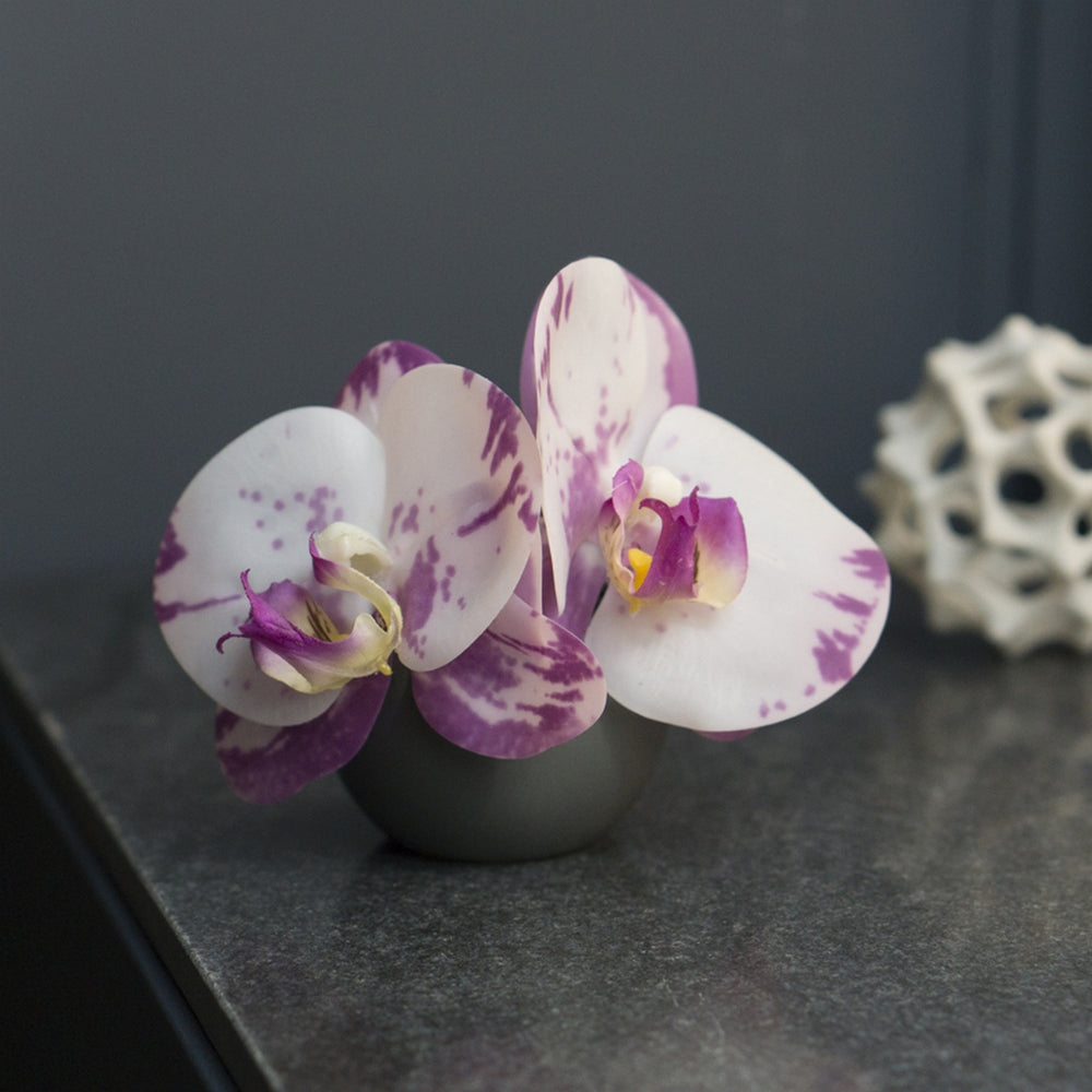 Orchid 4" Mound Design