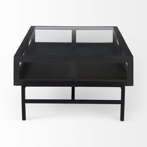 Arelius 42"L Rectangular Glass-Top Black-Brown Wood w/ Black Metal Base Display Coffee Table