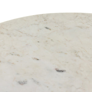 Oranda Coffee Table in Polished White