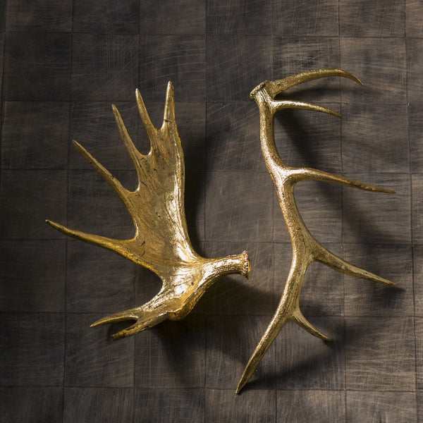 Gilded Elk Antler, single