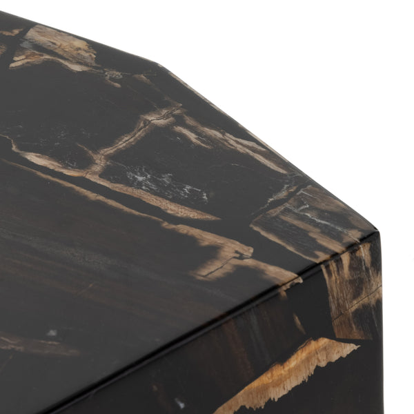 Shep End Table In Polished Petrified Wood