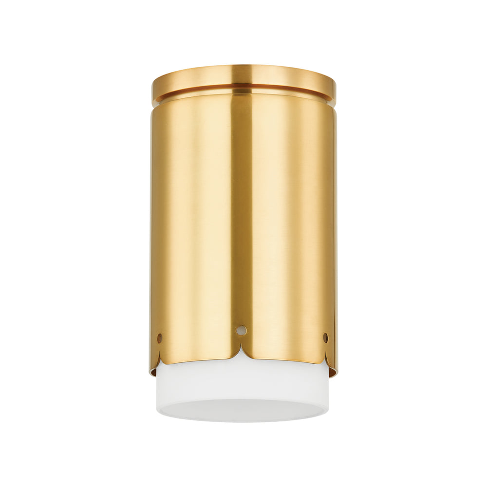 ASA Flush Mount