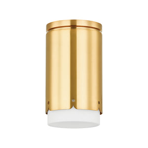 ASA Flush Mount