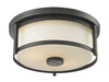 Savannah 2 Light Flush Mount in Olde Bronze Finish