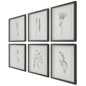 Forest Finds Framed Prints, S/6