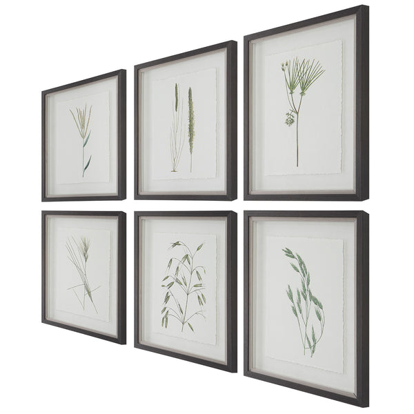 Forest Finds Framed Prints, S/6