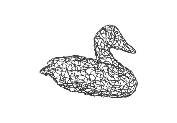 Crazy Wire Duck