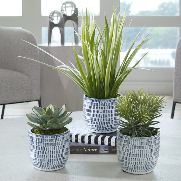 Puebla Greenery In Blue & White Pots, S/3
