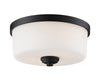 Arlington 2 Light Flush Mount in Bronze Finish