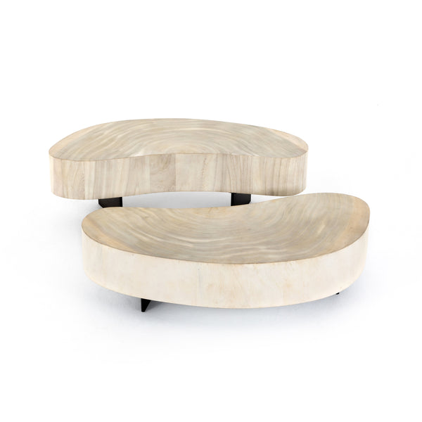 Avett Coffee Table In Bleached Guanacaste
