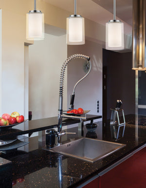 Willow 1 Light Mini Pendant in Chrome Finish