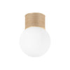 ARDSLEY Flush Mount