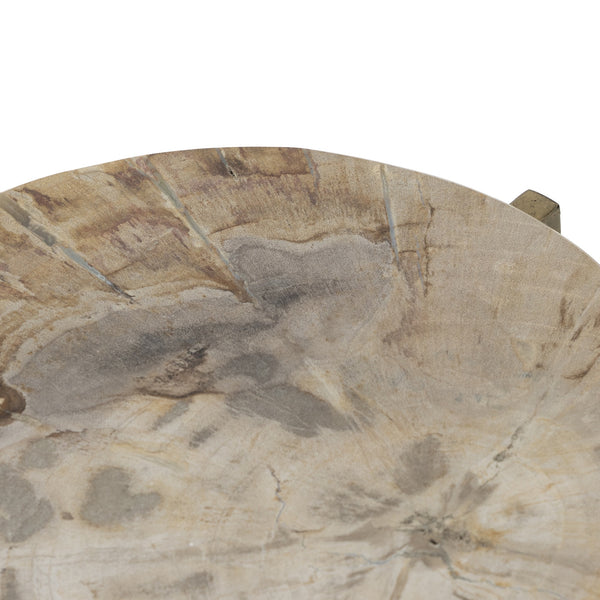 Jonty Round End Table In Petrified Wood