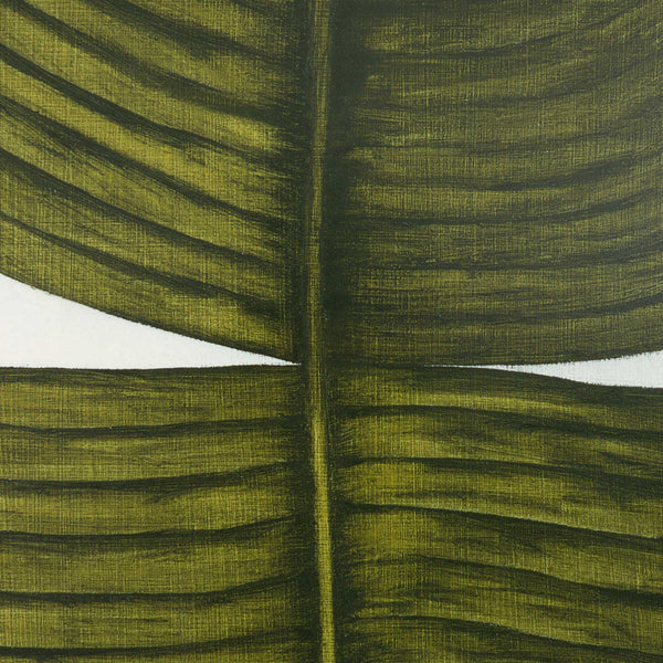 Ficus Elastica By Marianne Hendriks