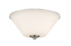 Jarra 2 Light Flush Mount in Brushed Nickel Finish