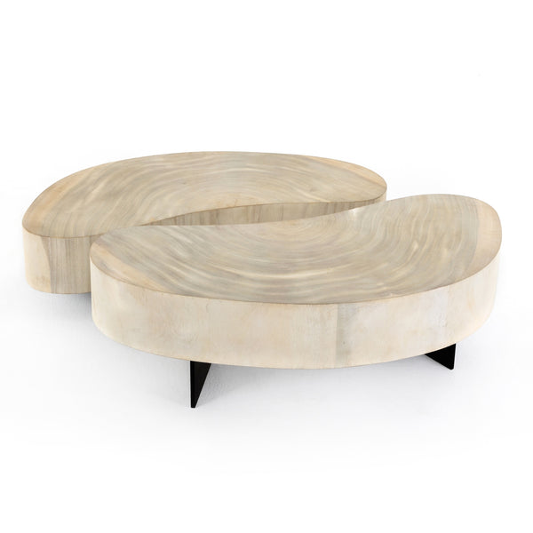 Avett Coffee Table In Bleached Guanacaste