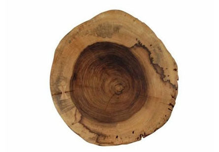 Slice Wall Décor,Natural,Wood