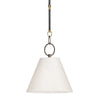 Altamont Pendant