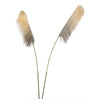 Pampas Grass 70"H Flower Stem