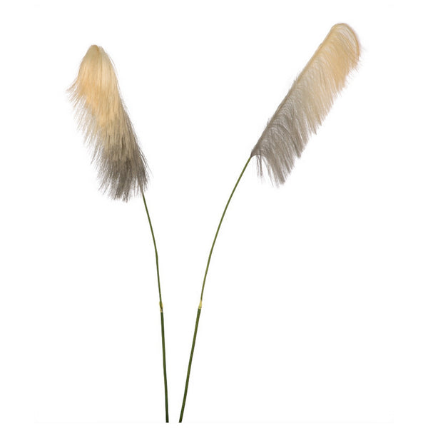 Pampas Grass 70"H Flower Stem