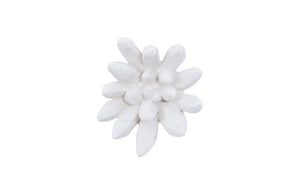 Compactum Succulent Wall Art, White Stone