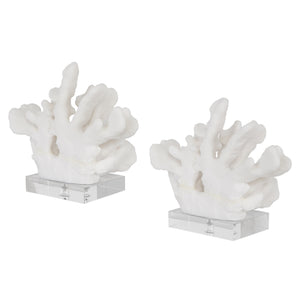 Charbel Bookends