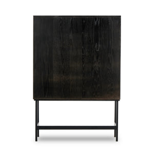 Hayward Cabinet In Black Oak-Black Aluminum-Black Iron