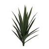 Yucca Head, green 25"H