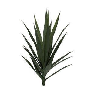 Yucca Head, green 25"H