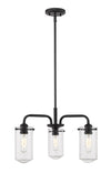 Delaney 3 Light Chandelier in Matte Black Finish