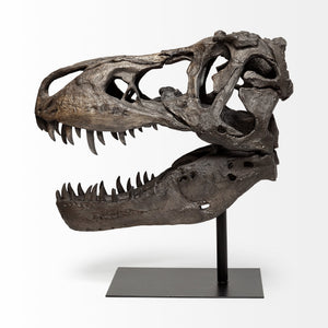 Lagrane 19L x 11W Brown Resin Tyrannosaurus T Rex Dinosaur Skull Replica