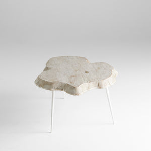 Palmer Coffee Table