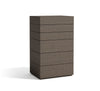 Reegan Chest in Ash