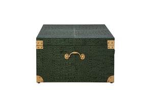 Marvin's Large Trunk