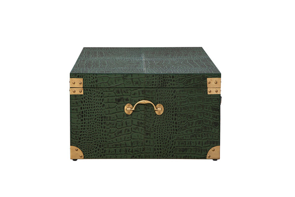 Marvin's Large Trunk