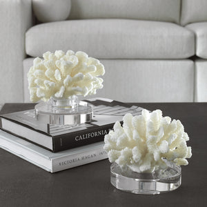 Hard Coral Sculptures, S/2