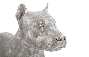 Pitbull Dog, Silver Leaf