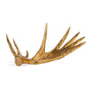 Gilded Moose Antler, single