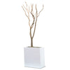 Sandblasted Redwood in Tall White Rectangle Plante