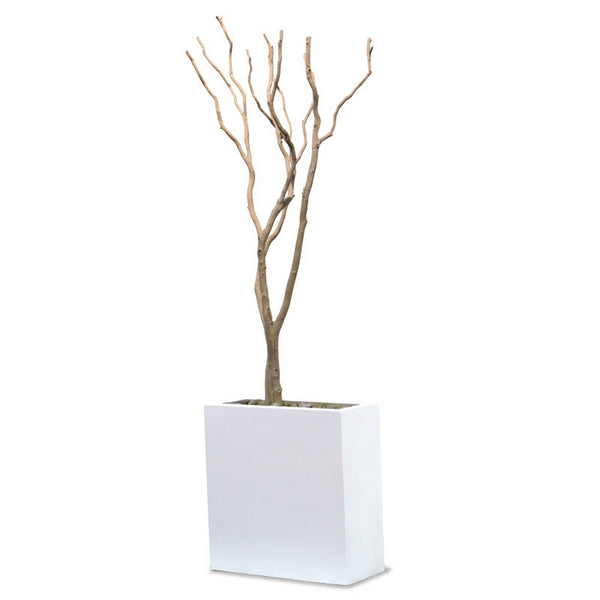 Sandblasted Redwood in Tall White Rectangle Plante