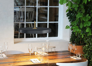 Asteria LED Pendant in Anthracite