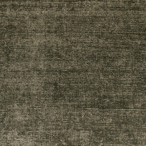 Blanton Outdoor Rug in Olive 8'x10''