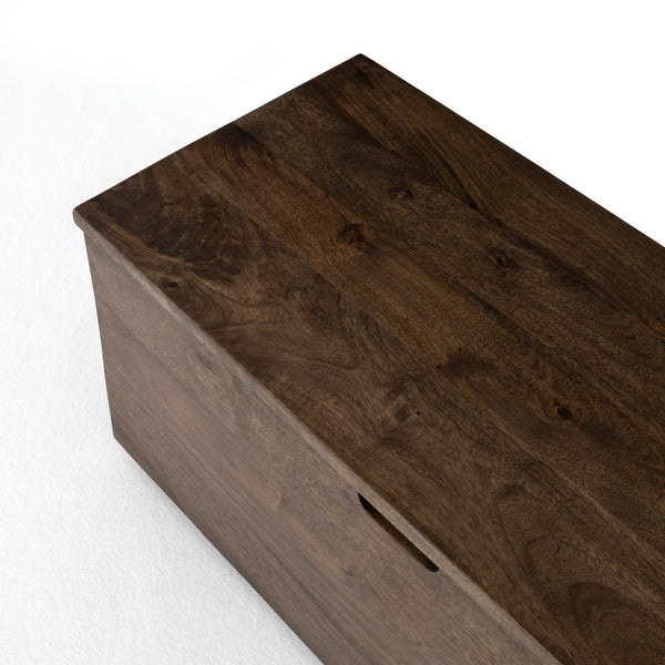 Duncan Trunk In Aged Brown