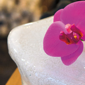 Fuchsia Orchids in Iceberg Glass Sculpture