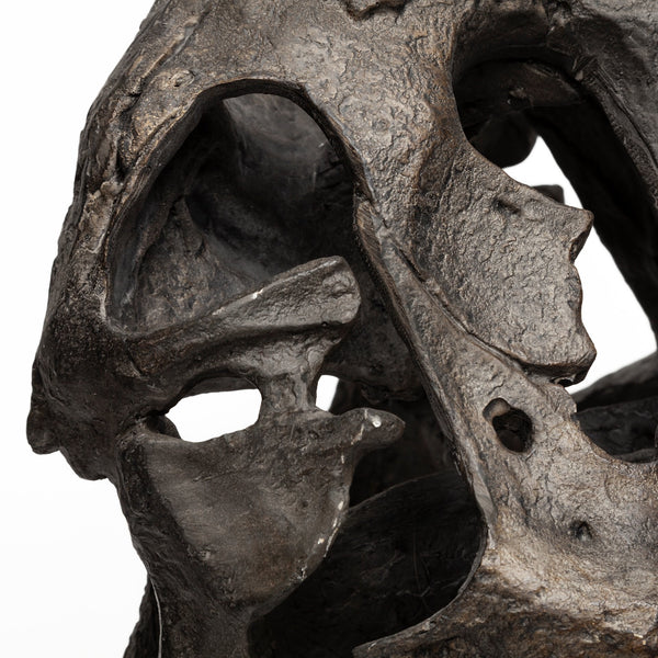Lagrane 19L x 11W Brown Resin Tyrannosaurus T Rex Dinosaur Skull Replica