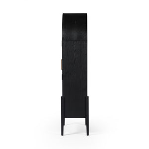 Tolle Panel Door Cabinet In Drifted Mat Blk